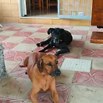 Villino Il Melograno Prázdninový dům