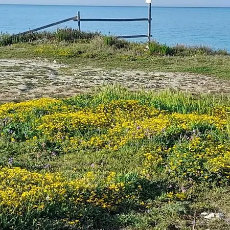 Villino Il Melograno *
