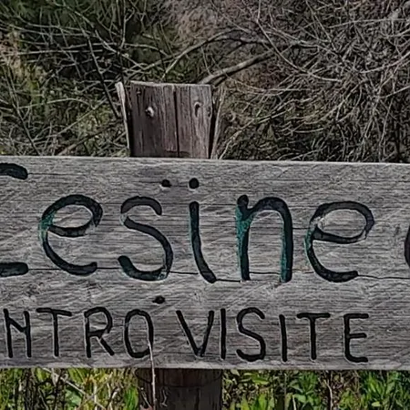 Villino Il Melograno Feriehus Torre Specchia Ruggeri